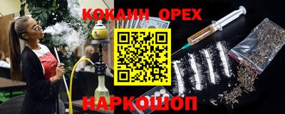 шишки Можга
