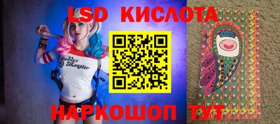 шишки Можга