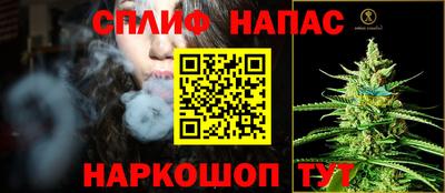 apvp Моздок