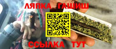 шишки Можга