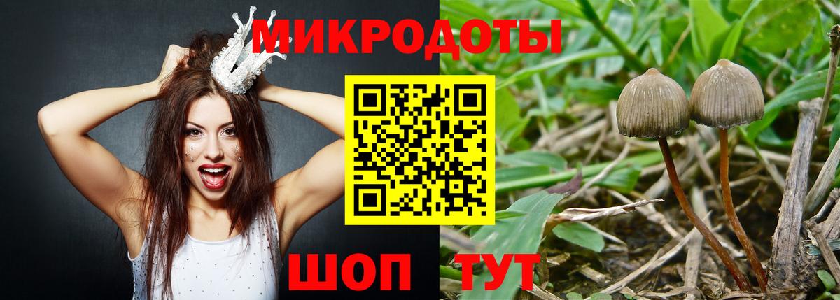 Галлюциногенные грибы GOLDEN TEACHER  Вход с VPN  Унеча  Галлюциногенные грибы Psilocybine cubensis 