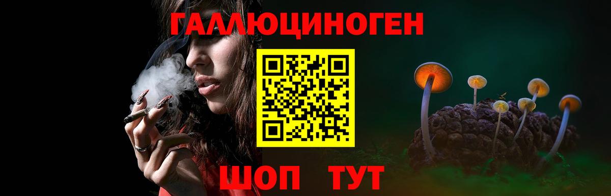 Псилоцибиновые грибы GOLDEN TEACHER Унеча